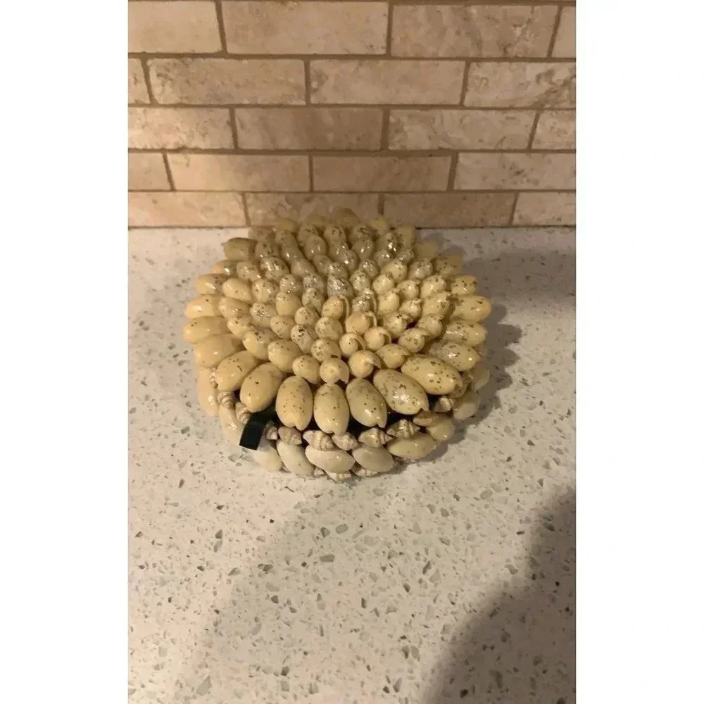 Seashell Jewelry Box ‎   Bq